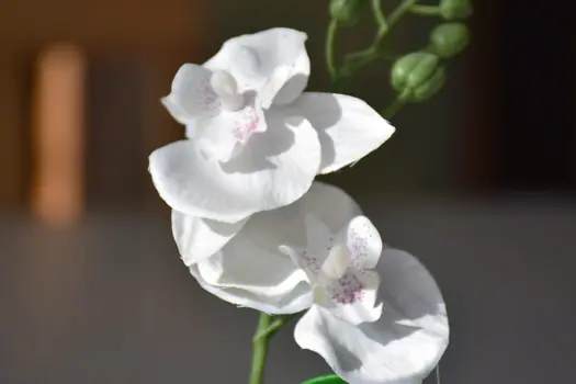 Dekoration im Haus Magdalena