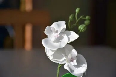 Galerie Haus Magdalena