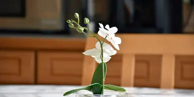 Galerie Haus Magdalena