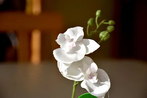 Haus Magdalena- Pension in Niklasdorf